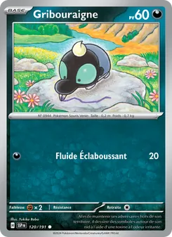 Carte Pokémon Gribouraigne 120