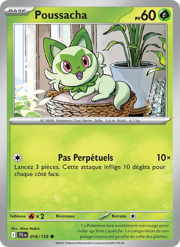 Carte Pokémon Poussacha 016/159 de l'extension Aventures Ensemble