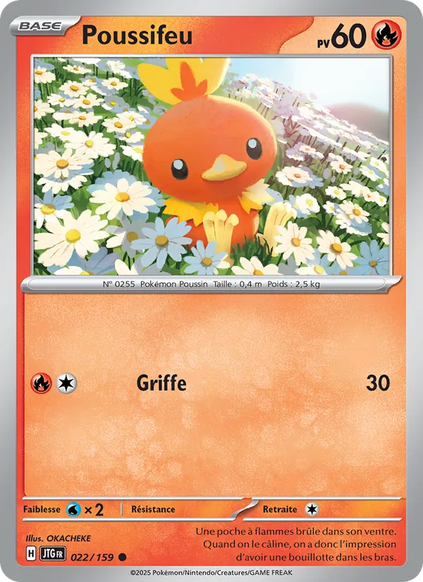 Carte Pokémon Poussifeu 022/159 de l'extension Aventures Ensemble