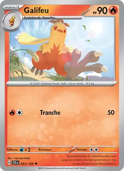 Carte Pokémon Galifeu 023