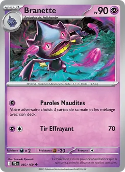 Carte Pokémon Branette 060