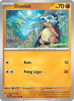 Carte Pokémon Osselait 076