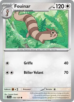 Carte Pokémon Fouinar 119