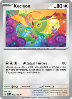 Carte Pokémon Kecleon 122 — Aventures Ensemble