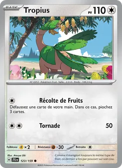 Carte Pokémon Tropius 123