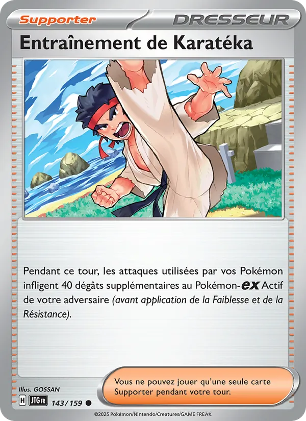 Carte Pokémon Entraînement de Karatéka 143/159 de l'extension Aventures Ensemble