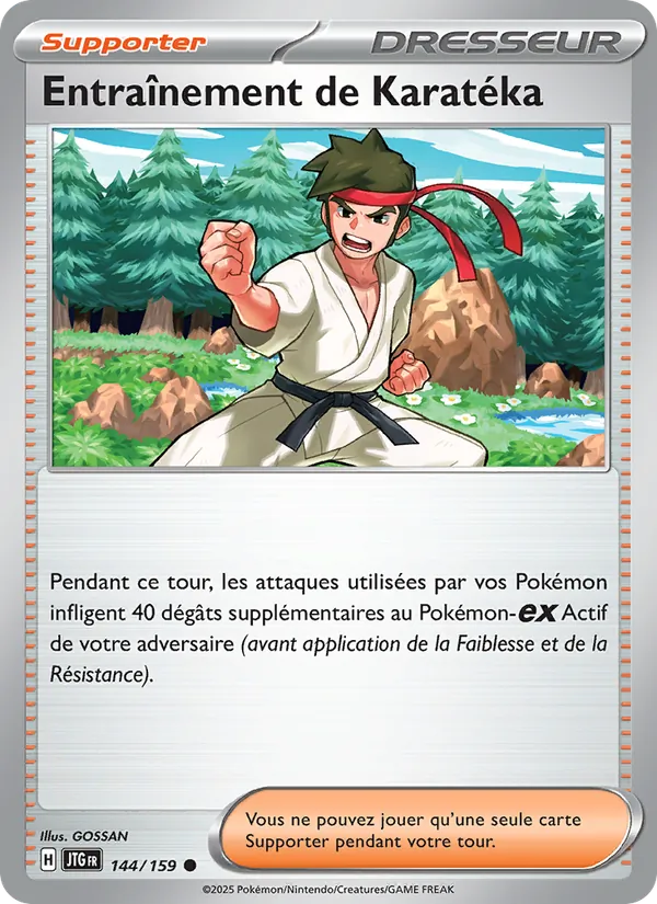 Carte Pokémon Entraînement de Karatéka 144/159 de l'extension Aventures Ensemble