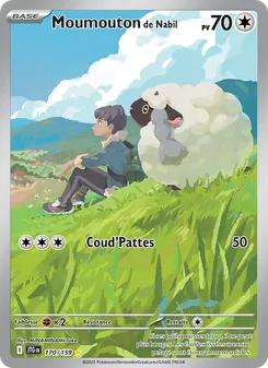 Carte Pokémon Moumouton de Nabil 170