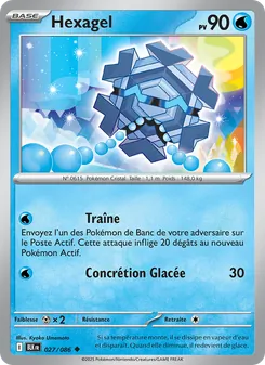 Carte Pokémon Hexagel 027 — Foudre Noire