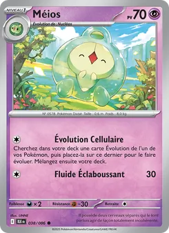 Carte Pokémon Méios 038 — Foudre Noire