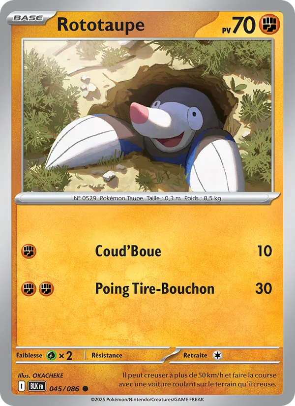 Carte Pokémon Rototaupe 045/86 de l'extension Foudre Noire