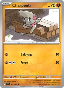 Carte Pokémon Charpenti 047 — Foudre Noire