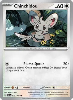 Carte Pokémon Chinchidou 075 — Foudre Noire