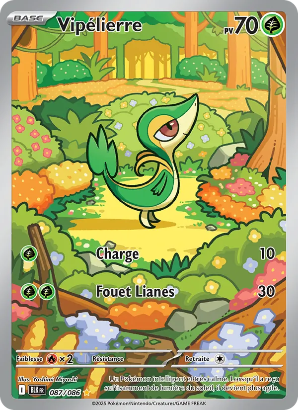 Carte Pokémon Vipélierre 087/86 de l'extension Foudre Noire