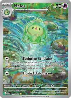 Carte Pokémon Méios 119 — Foudre Noire