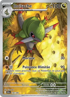 Carte Pokémon Incisache 146 — Foudre Noire