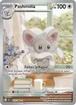 Carte Pokémon Pashmilla 153 — Foudre Noire