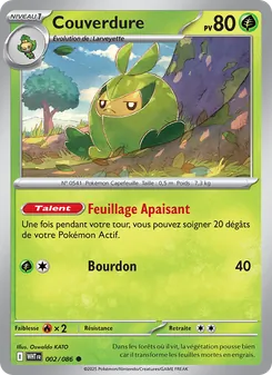 Carte Pokémon Couverdure 002