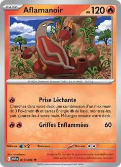 Carte Pokémon Aflamanoir 019