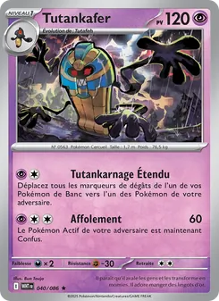 Carte Pokémon Tutankafer 040