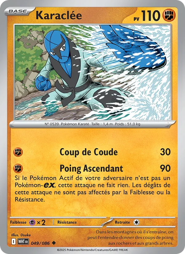 Carte Pokémon Karaclée 049/86 de l'extension Flamme Blanche