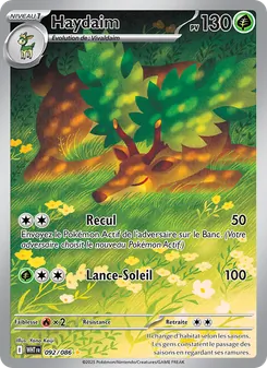 Carte Pokémon Haydaim 092