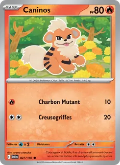 Carte Pokémon Caninos 027