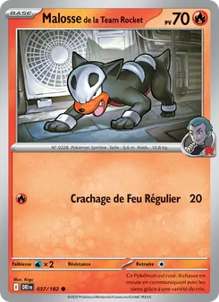Carte Pokémon Malosse de la Team Rocket 037