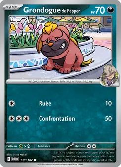 Carte Pokémon Grondogue de Pepper 138