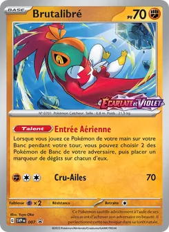 Carte Pokémon Brutalibré 007