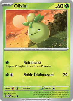 Carte Pokémon Olivini 023