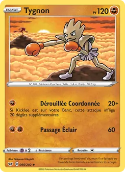 Carte Pokémon Tygnon 95 — Épée et Bouclier