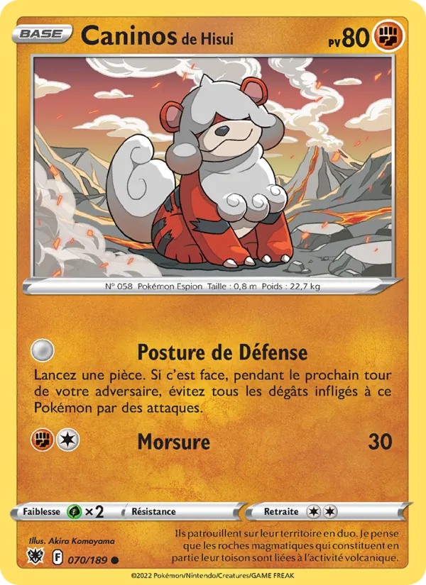 Carte Pokémon Caninos de Hisui 070/189 de l'extension Astres Radieux