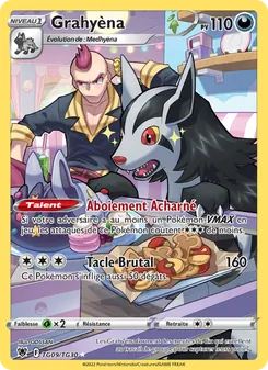 Carte Pokémon Grahyèna TG09 — Astres Radieux