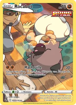 Carte Pokémon Rocabot TG07
