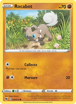 Carte Pokémon Rocabot 29