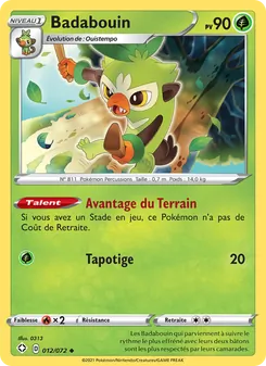 Carte Pokémon Badabouin 12
