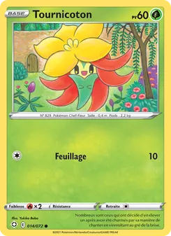 Carte Pokémon Tournicoton 14