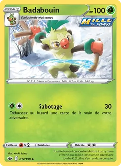 Carte Pokémon Badabouin 17 — Règne de Glace