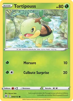 Carte Pokémon Tortipouss 006 — Stars Étincelantes