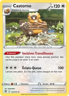 Carte Pokémon Castorno 121 — Stars Étincelantes