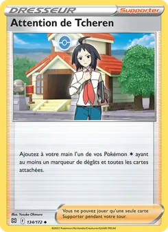 Carte Pokémon Attention de Tcheren 134 — Stars Étincelantes