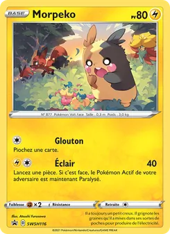 Carte Pokémon Morpeko SWSH116 — Promo SWSH
