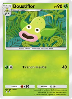Carte Pokémon Boustiflor 019 — Puissance Génétique