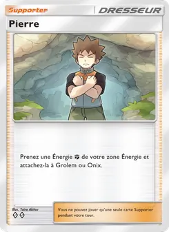 Carte Pokémon Pierre 224 — Puissance Génétique