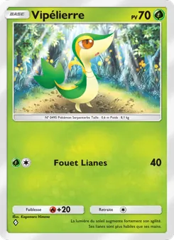 Carte Pokémon Vipélierre 004
