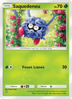 Carte Pokémon Saquedeneu 004 — Choc Spatio-Temporel