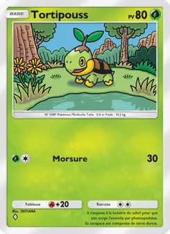 Carte Pokémon Tortipouss 010 — Choc Spatio-Temporel