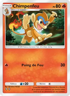 Carte Pokémon Chimpenfeu 028 — Choc Spatio-Temporel