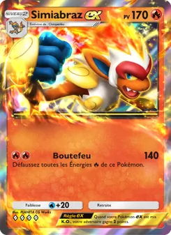 Carte Pokémon Simiabraz-ex 029 — Choc Spatio-Temporel